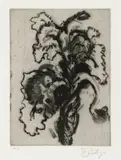 William Kentridge, Iris, aquatint