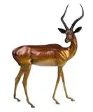 Danie de Jager, Impala Ram, bronze with a brown patina