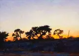 Walter Meyer, Sunset with Kameelthorn Trees