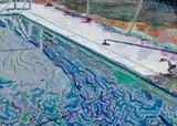 Fée Halsted, Splash, gouache on paper