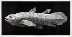 Walter Oltmann, Coelacanth, linocut