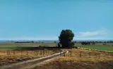 John Meyer, Schoonspruit Valley (W. Tvl)