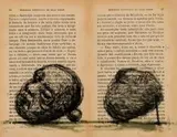 Braz Cubas (Head and Stone) by William Kentridge, colour lithograph, sold Sep 2017