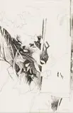 Andrew Verster, Foliage Study