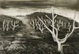 Kim Berman, Alien Landscape, White River I, etching