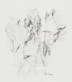 Andrew Verster, Fragile Things