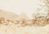 Adolph Jentsch, S.W. Afrika