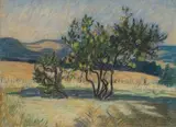 Leonora Everard-Haden, Landscape