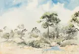 Tim Morris, Kruger Park