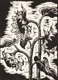 Gregoire Boonzaier, Sunflowers, linocut