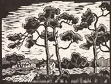 Gregoire Boonzaier, Cottages Amongst Pine Trees, linocut