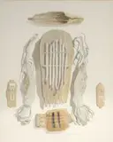 Pippa Skotnes, Objects and Artefacts