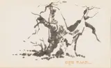 Otto Klar, Baobab, ink on paper