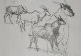Fritz Krampe, Eland Studies, ink on paper