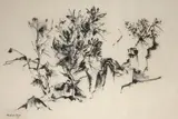 Paul du Toit, A Study of Trees and Rocks