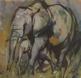 Hennie Niemann jnr, Elephants