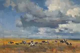 Dino Paravano, Friesland Cattle in an Extensive Landscape