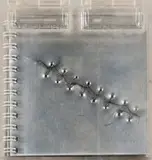 Belinda Blignaut, Antibody, white ring-bound book with silver metal hand-stitched cover and housed in a clear Perspex box