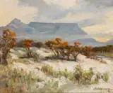 Allerley Glossop, Table Mountain, oil on board