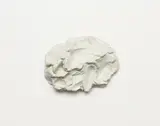 Joni Brenner, Idea