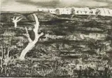 Kim Berman, Alien Landscape, White River IV, aquatint