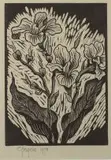 Iris by Gregoire Boonzaier, linocut, sold Jul 2017