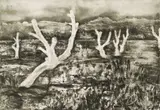 Kim Berman, Alien Landscape, White River III, aquatint