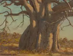 Baobab by Erich Mayer, oil on canvasboard, sold Jul 2017