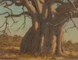 Erich Mayer, Baobab, oil on canvasboard