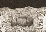 Norman Catherine, Headstone, etching