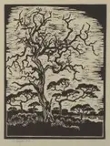 Hardekool Tree by Gregoire Boonzaier, linocut, sold Jul 2017