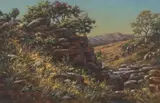 Erich Mayer, A Rocky Outcrop