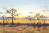 Francois Koch, Bushveld, oil on canvas