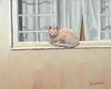 Ben Coutouvidis, White Cat on the Windowsill, oil on canvas