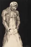 Caroline van der Merwe, Torso