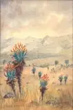 Erich Mayer, Dawn, Ngoya Mts, Zululand, Winter