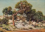 Erich Mayer, Trees, oil on canvas laid down on board