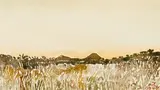 Adolph Jentsch, Namibian Landscape