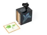 Judith Mason, Metaphors, Phonogram for Vivaldi, painted wooden box with painted paper mache flower, containing ten framed colour lithographs and index