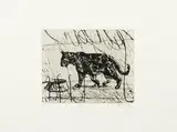 William Kentridge, Panther, drypoint