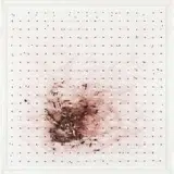 Bronwyn Lace, Collapse (Infinitas), Perspex, fishing line, fishing flies