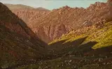 Tinus de Jongh, Mountain Gorge, oil on canvas