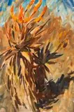 Dylan Lewis, Aloe Study