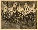 Jacobus Hendrik Pierneef, Roots, etching