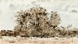 Adolph Jentsch, Bushveld, watercolour on paper