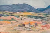 Namaqualand by Piet van Heerden, oil on board, sold Nov 2016