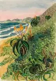 Edith King, Beach Aloes and Dunes (South Coast, Natal), 1952, watercolour