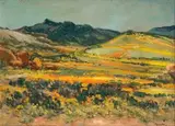 Springtime, Namaqualand by Hugo Naude, oil on board, sold Nov 2016
