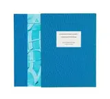 Skoelapperheuwel, Skoelappervrou by Wilma Stockenström and Judith Mason, artists' book containing pencil drawings and photolithographic prints, linen bound, in original slip case, sold Nov 2016