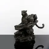 Dylan Lewis, Leopard